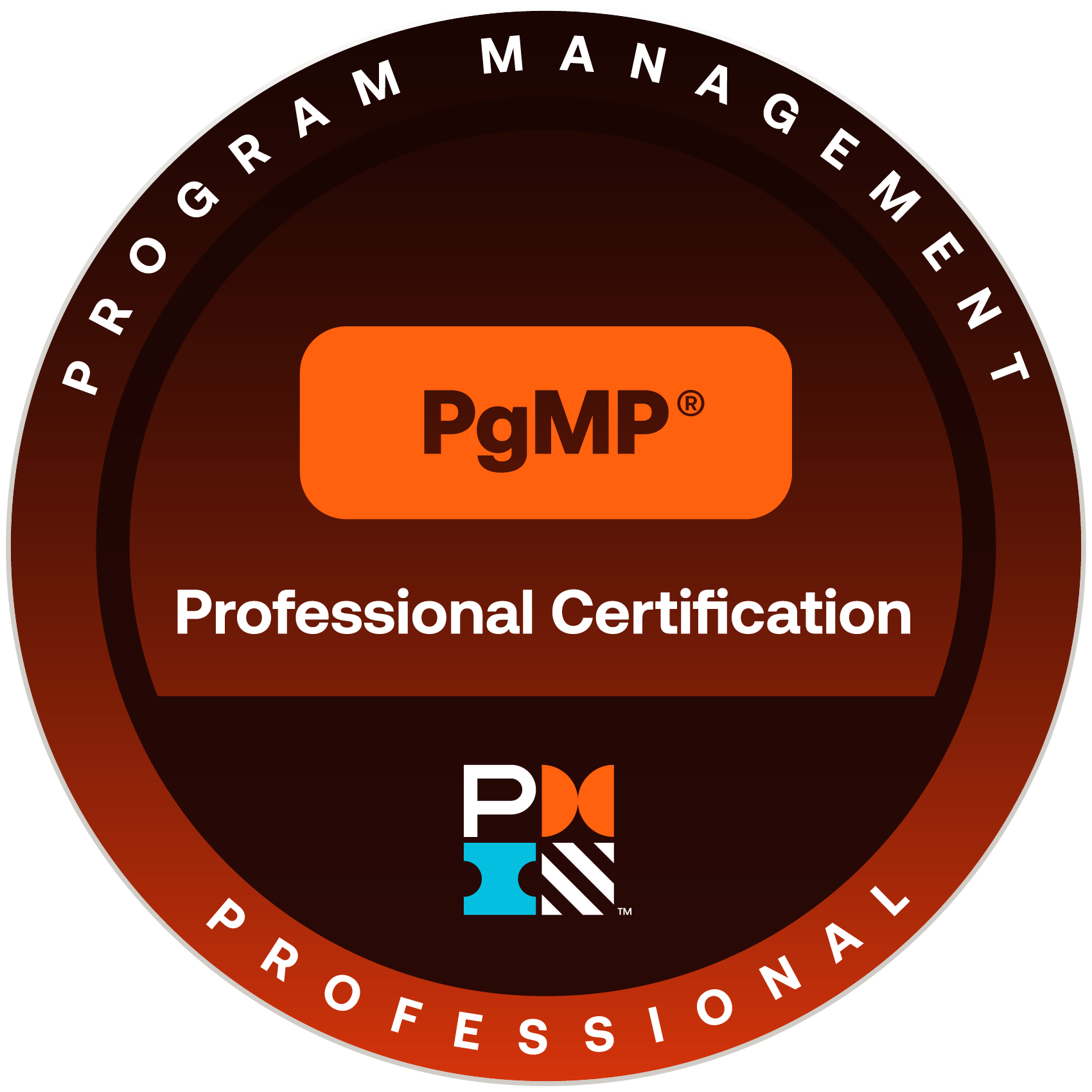 PgMP — Program Management Professional
